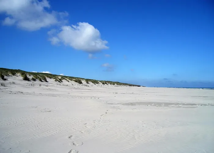 Haus Delft St Pardan アパート